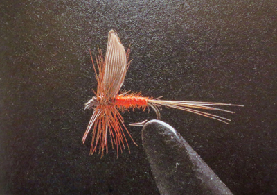 クリックして拡大画像へ