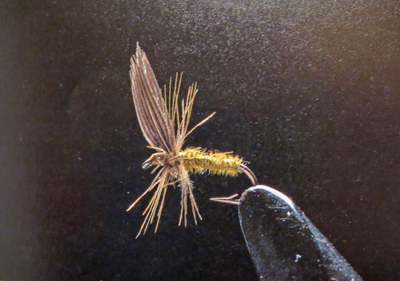 クリックして拡大画像へ