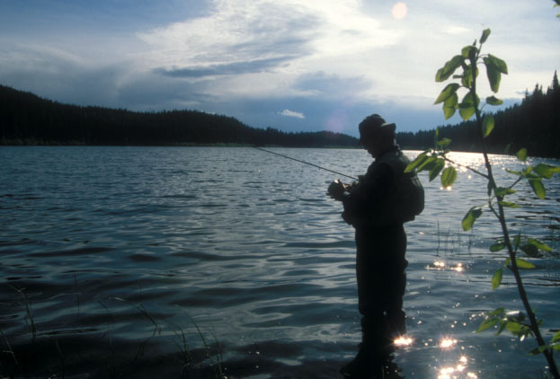 フライを選ぶ釣り人