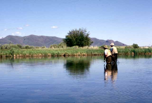 釣り友達、シルバー・クリークにて