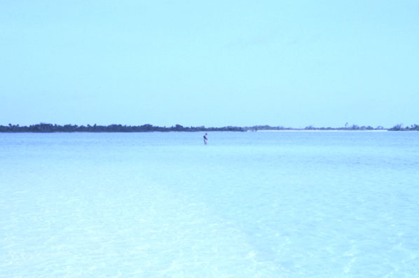 熱帯の海でのボーンフィッシング、ベリーズにて