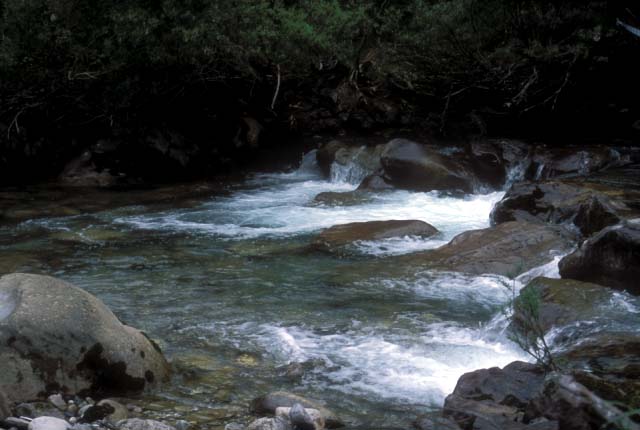 �X�y�C���̃K���S��