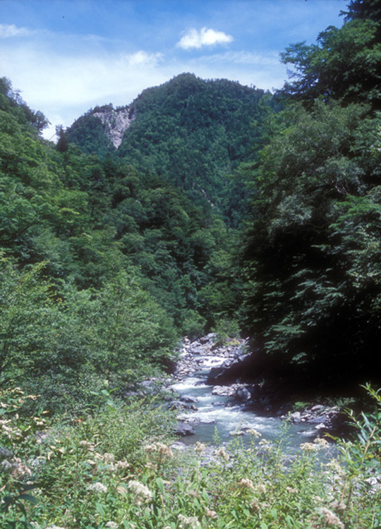 Head Stream of Oigawa River