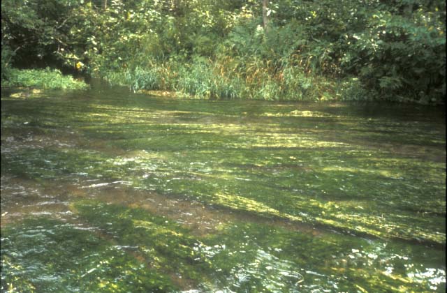 北海道、西別川