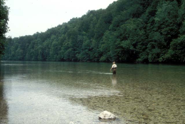 RiverTraun2