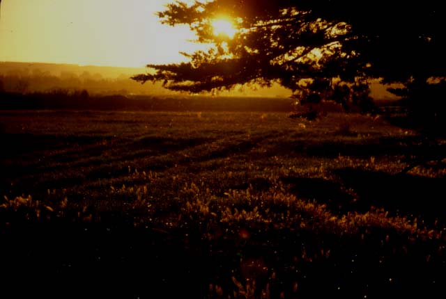 �킢���I����āA�ӂƁA���U��Ԃ��Ă݂�ƁE�E�E
