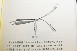 クリックして拡大画像へ