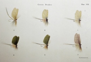 クリックして拡大画像へ