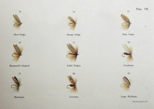 クリックして拡大画像へ