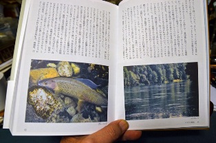 クリックして拡大画像へ